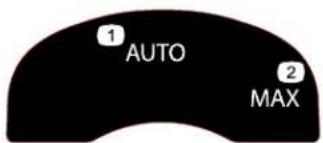 1 AUTO 2 MAX