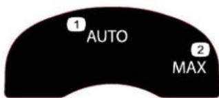 1 AUTO 2 MAX