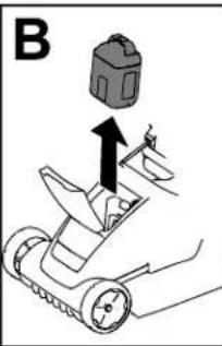 B