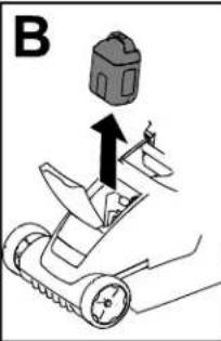 B