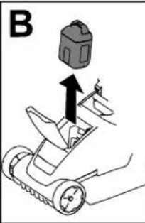 B