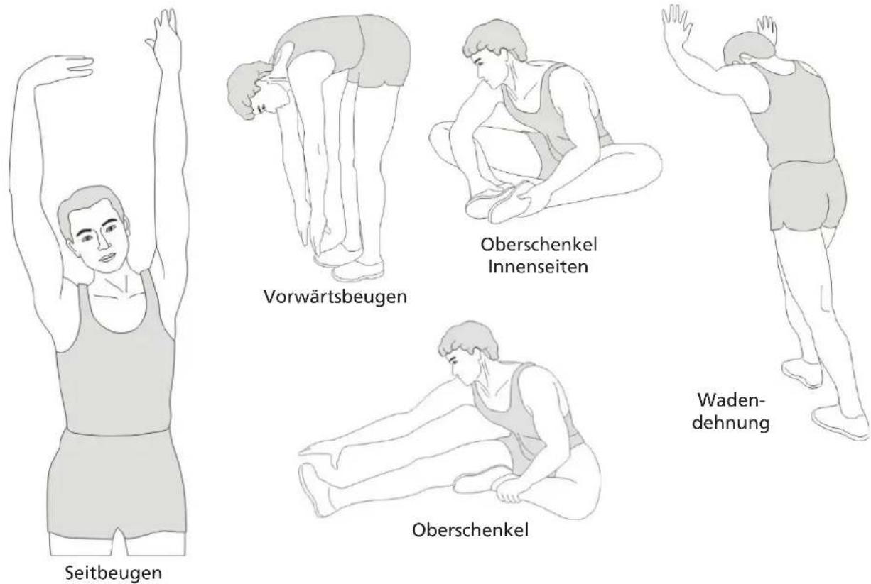 Skandika Vinur - STRETCHING - 1