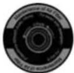 Grizzly BRM 51172 A - 10W30 - 4