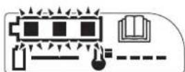 Honda HRG466XB - LED lampeggianti - 1