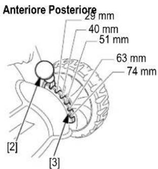 Anteriore Posteriore 29 mm 40 mm 51 mm 63 mm 74 mm [2] [3]
