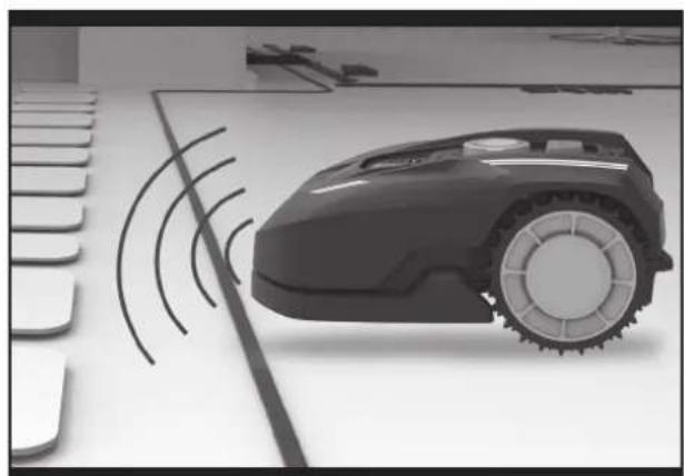 LANDXCAPE LX793 - 9