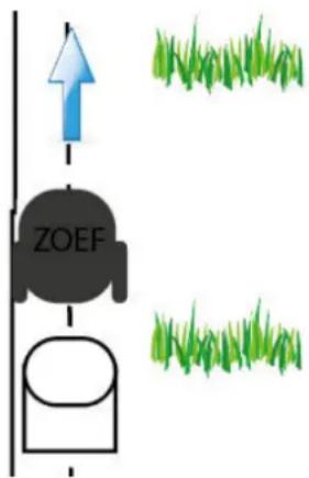 ZOEF