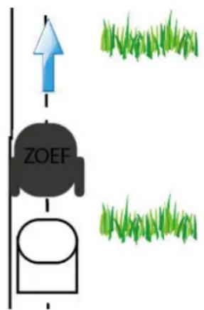 ZOEF