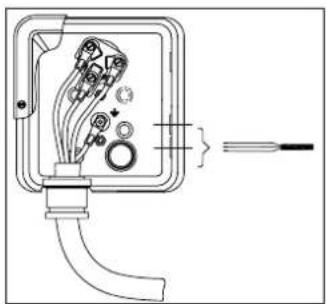 DANFOSS PSH038051064077 - SM / SZ 115 - 125 - 160 - 175 - 185 versions avec thermostat - 1
