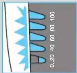 0.20 40 60 80 100