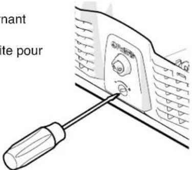 nant site pour