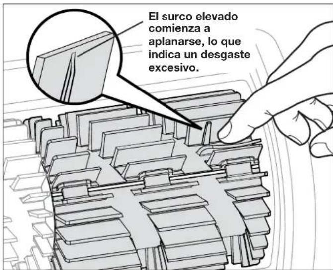 POLARIS Scout 40 - Reemplazo de piezas desgastadas Reemplazo de cepillos - 1