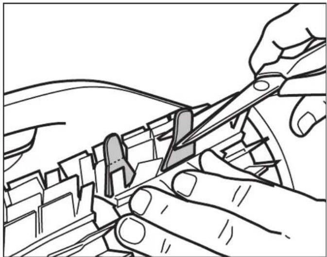 POLARIS Scout 40 - Remplacement des brosses - 6