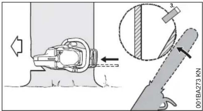 STIHL MS 151 C - Taglio di abbattimento con fascia di sicurezza (albero normale) - 2