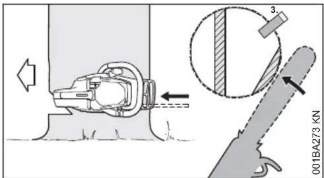 STIHL MS 151 C - Coupe d'abattage avec patte de sécurité (arbre normal) - 2