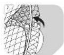 OK OTF 3331 W - ok. - 10