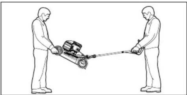 STIHL RM 248 - Rasenmäher tragen - 1