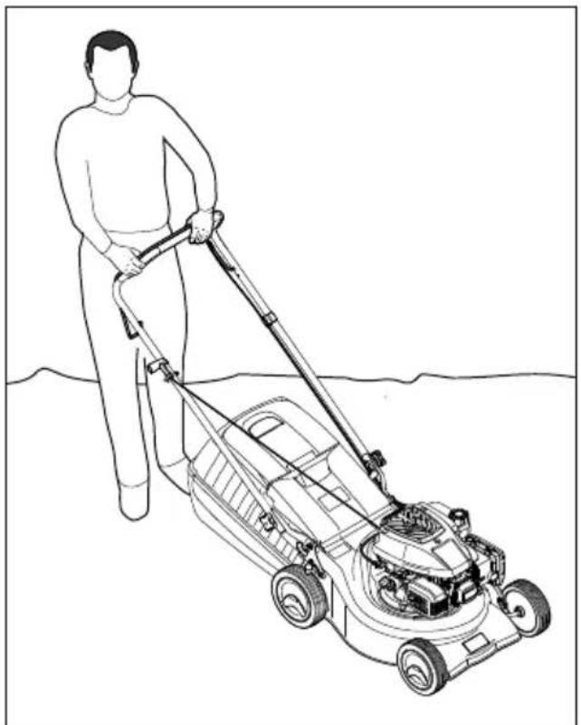 STIHL RM 248 - Taglio dell'erba - 1