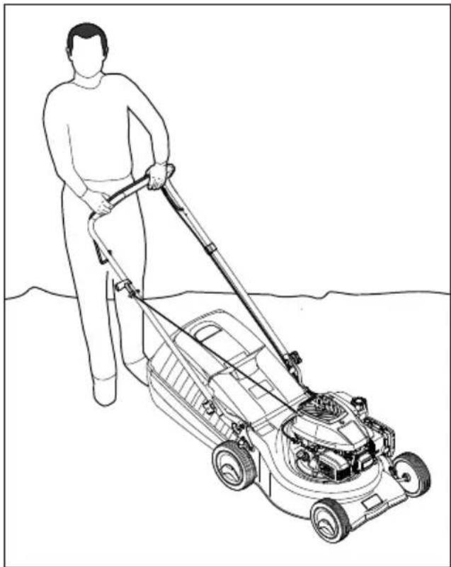 STIHL RM 248 - Mähen - 1