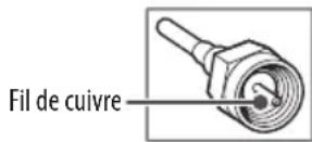 LG OLED65C3PUA - Antenne/câble - 1