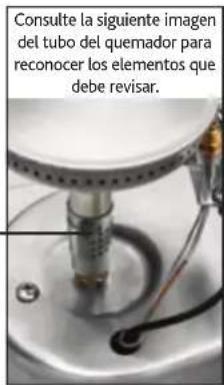 Consulte la siguiente imagen del tubo del quemador para reconocer los elementos que debe revisar.