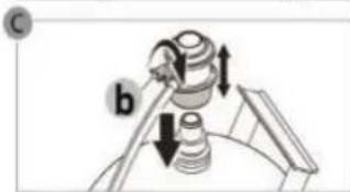 C b