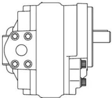 DANFOSS Rugid - Optional configurations - 1