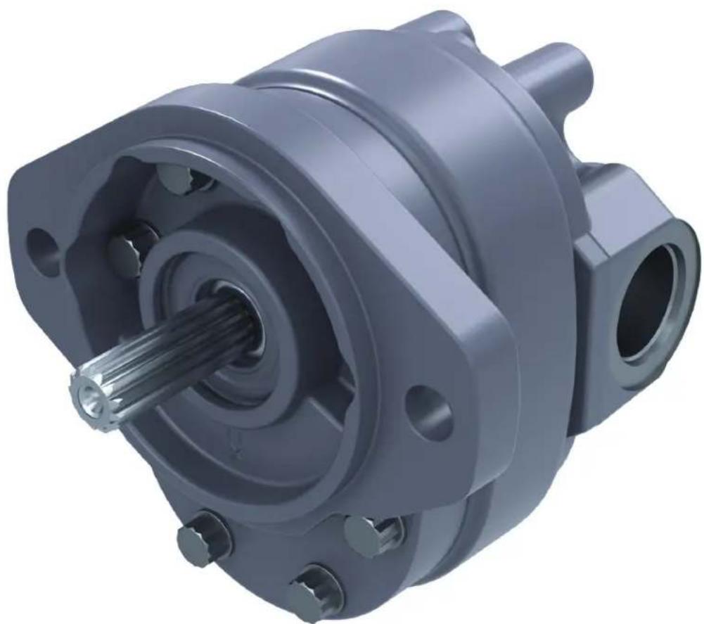 DANFOSS Rugid - Technical Information - 1