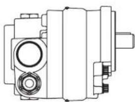 DANFOSS Rugid - Optional configurations - 12