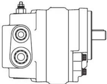 DANFOSS Rugid - Optional configurations - 4