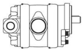DANFOSS Rugid - Optional configurations - 5