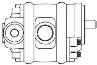 DANFOSS Rugid - Optional configurations - 2