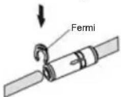 Fermi