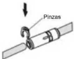 Pinzas