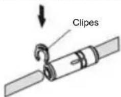 Clipes