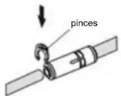 pinces