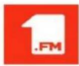 Audizio Turin - Local Radio – radio locale - 2