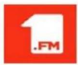 Audizio Turin - Local Radio – radio locale - 1