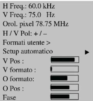 MEDION LIFE P15025 (MD 20410) - FUNZIONE AUTO-ADJUST - 2