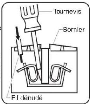 Hatco Powermite PMG100 - Branchements électriques - 1
