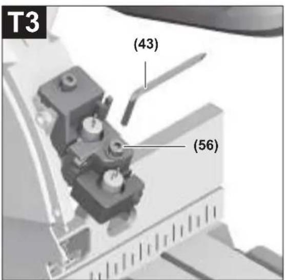 T3 (43) (56)