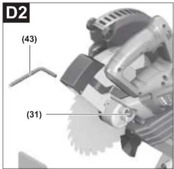 D2 (43) (31)