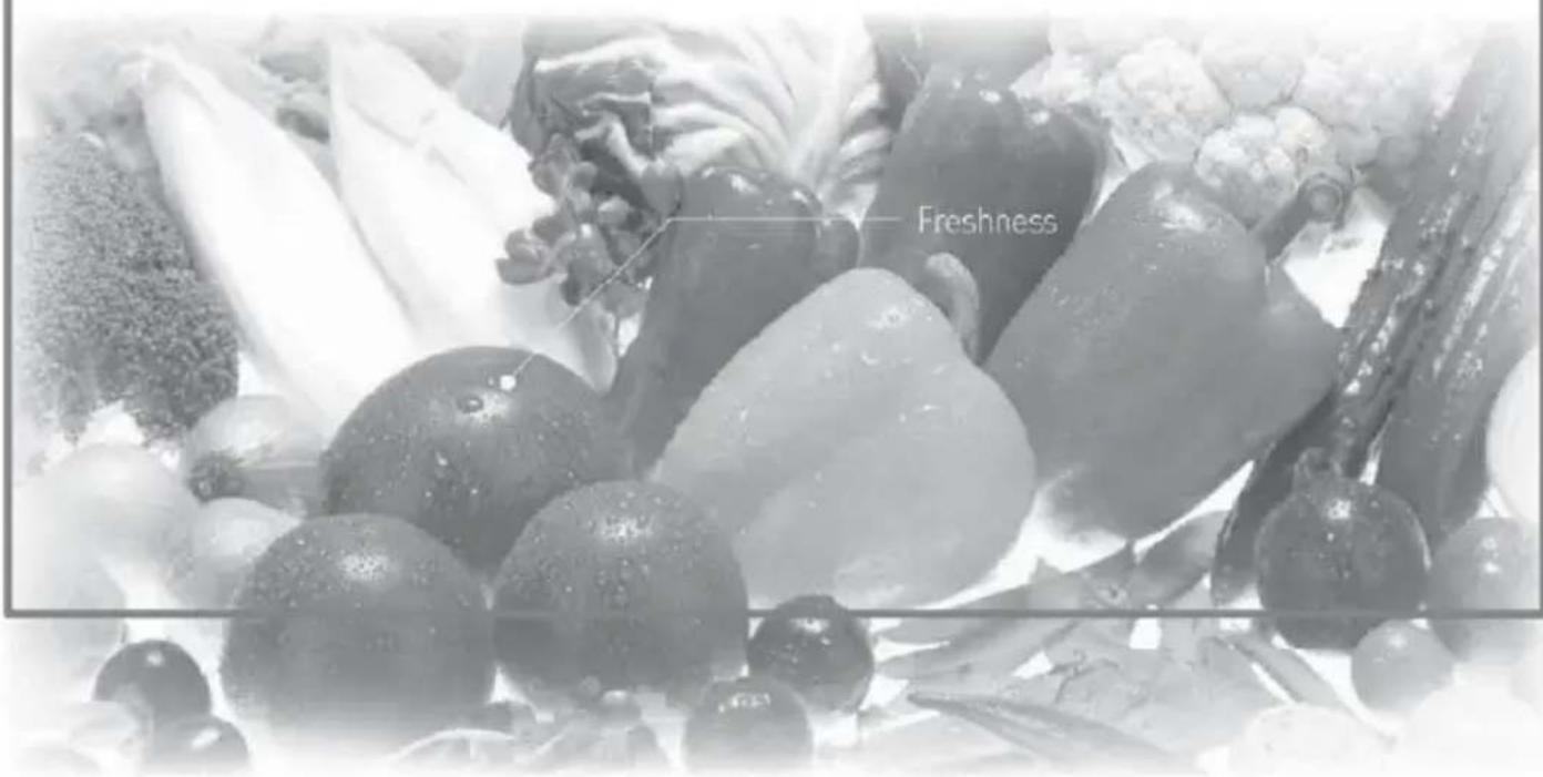 WINIA WFNH240SIL - WINIA - 1