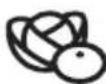 ELECTROLUX KVLBE08H - 500-600 W - 1