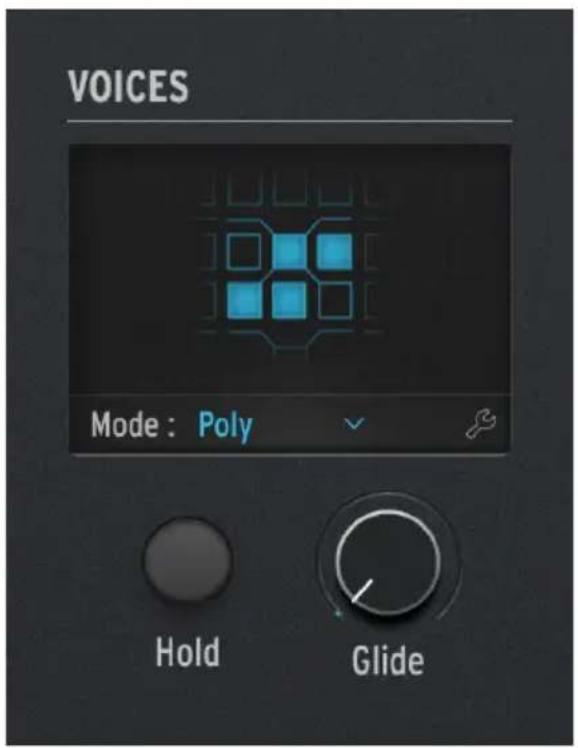 Arturia MiniFreak - Voices - 1