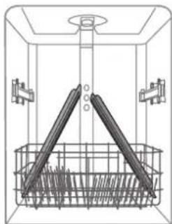 PRIVILEG RSBO 3T224 X - EXTRA - 2