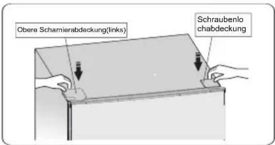 HISENSE FF176F20W - Seitenwechsel der Tür - 16
