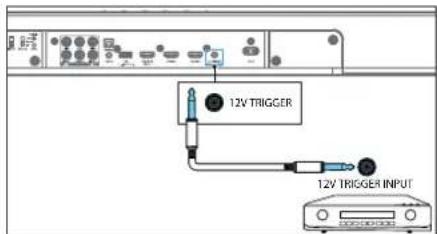 12V TRIGGER 12V TRIGGER INPUT