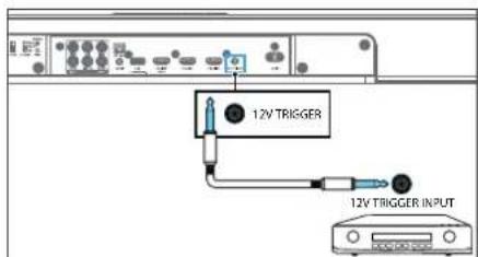12V TRIGGER 12V TRIGGER INPUT