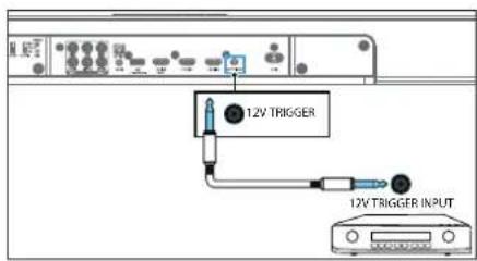 12V TRIGGER 12V TRIGGER INPUT